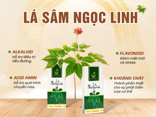 Lá sâm Ngọc Linh: Công dụng, cách dùng và cách phân biệt thật - giả